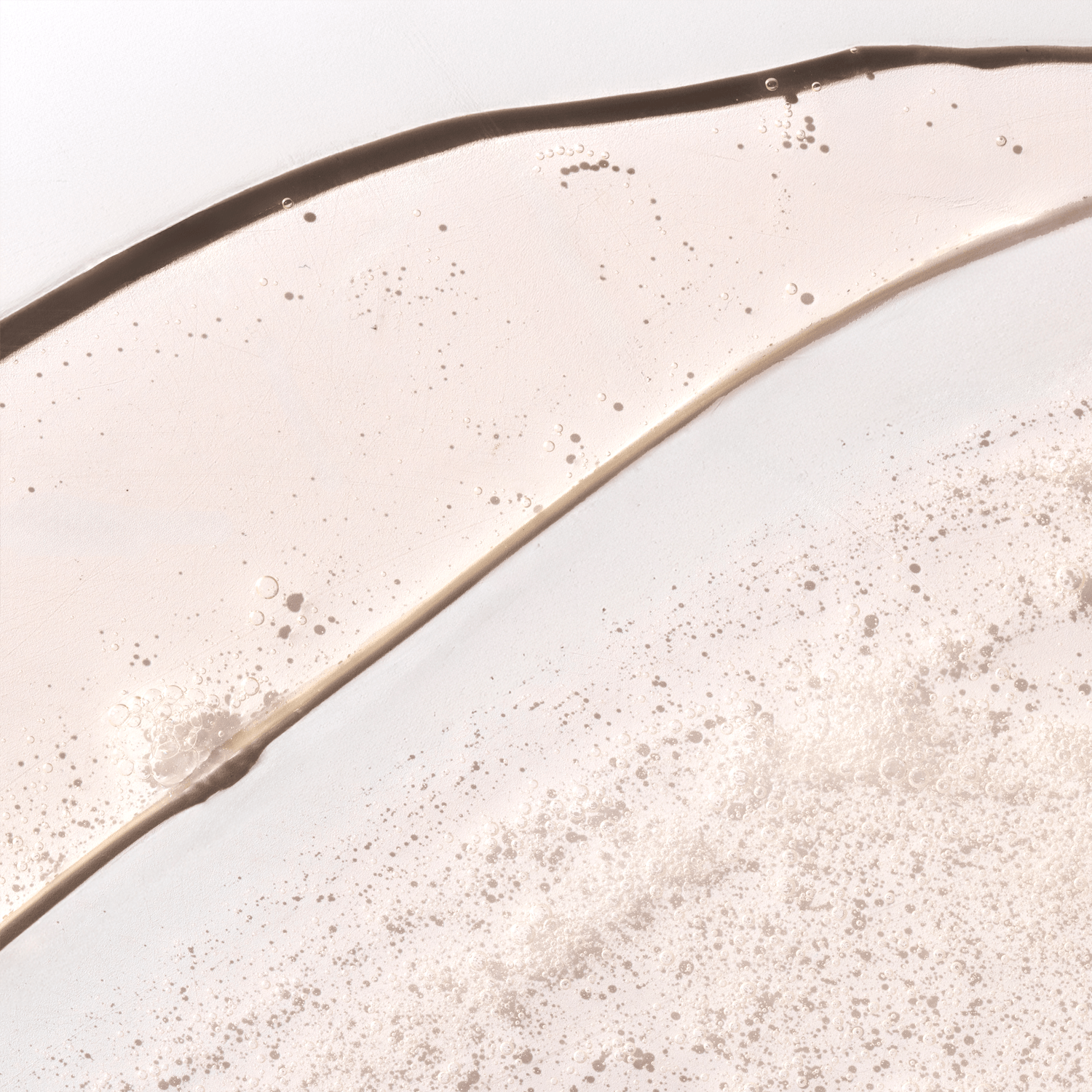 Shampoo Anticaspa Jengibre