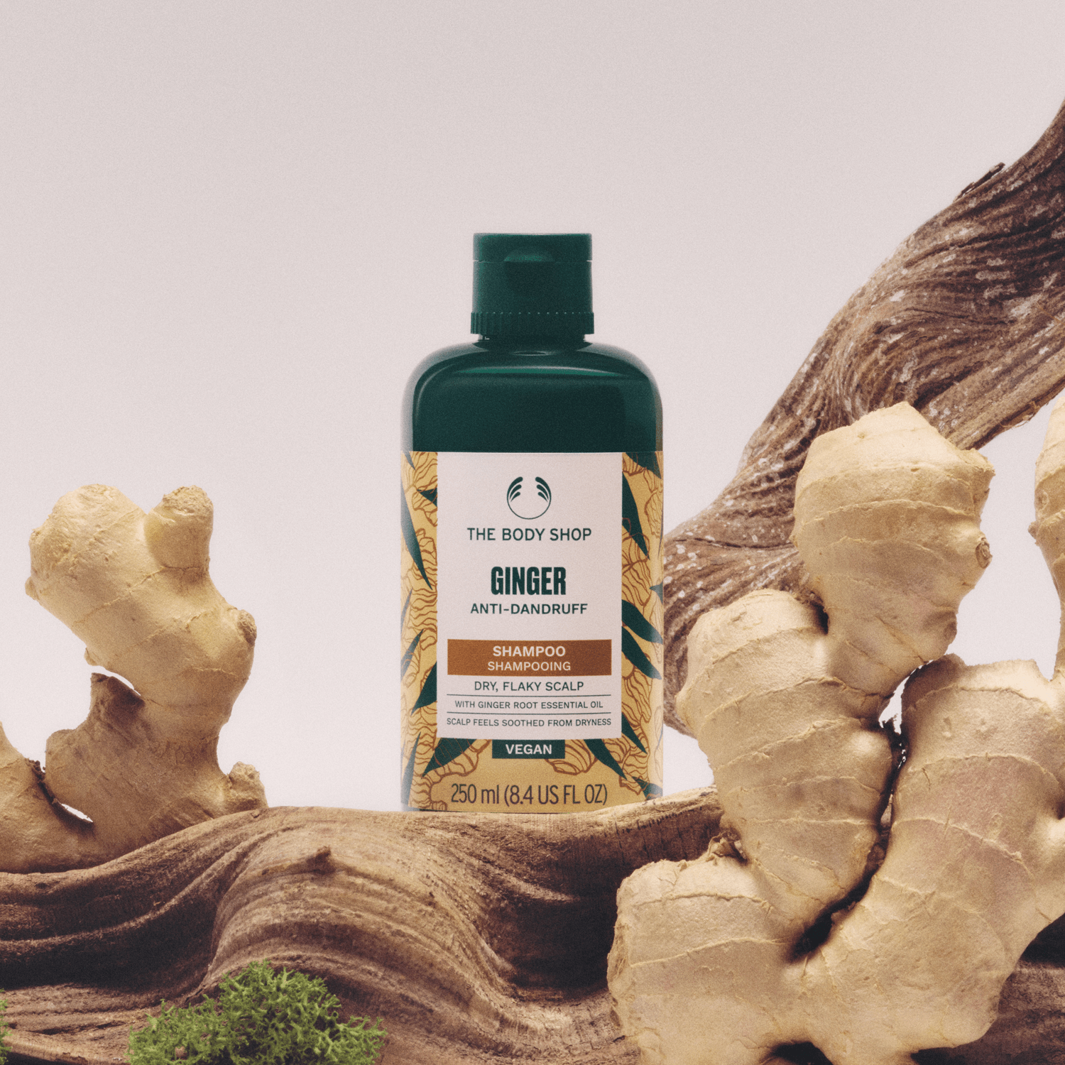 Shampoo Anticaspa Jengibre