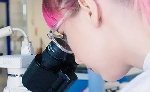 Timeline de la campaña Forever Against Animal Testing