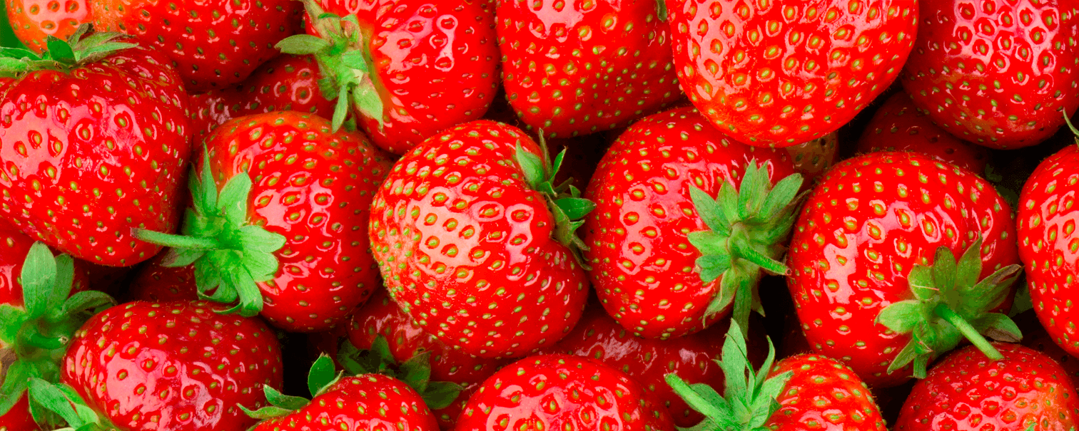 Frutilla
